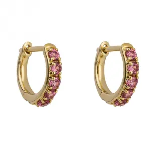 Rhodolite Garnet 9ct Yellow Gold Hoop Earrings GE1053P