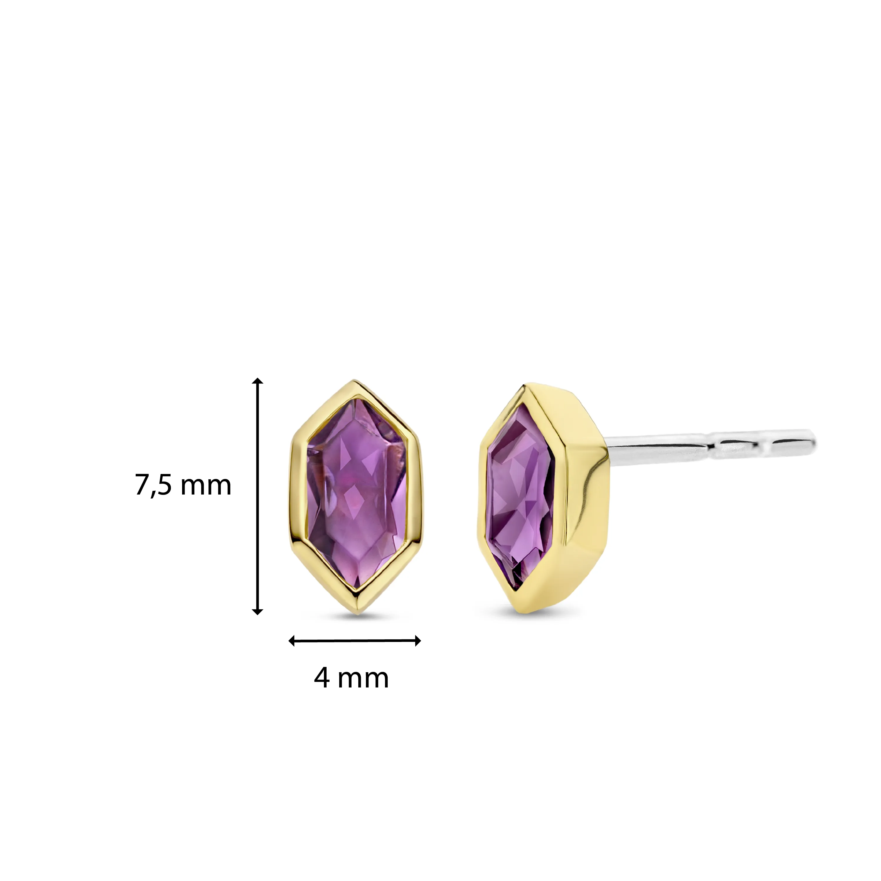 TI SENTO Earrings 7944PU